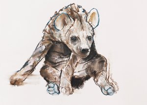 Petit hyène (tête baissée), 2019 - Mark Adlington