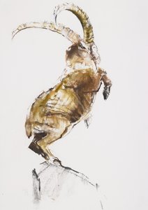 Roi de la montagne, 2005