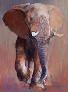 Taureau de Loisaba, 2018 - Mark Adlington