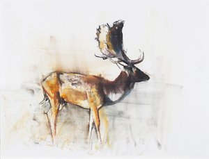 Magnifique daim, 2006
