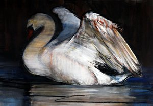 Cygne de nuit, 2022