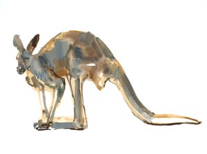 Poussière d