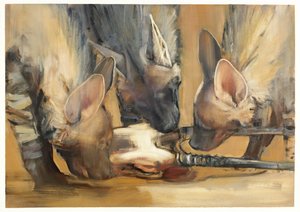 Attaque de meute (jeunes hyènes rayées)