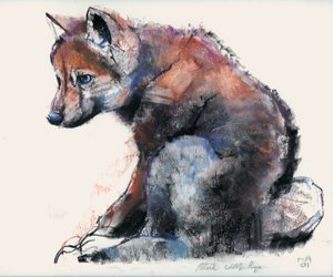 Louveteau polonais, 2001 - Mark Adlington