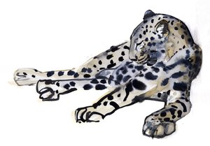 Recliné (léopard arabe), 2008
