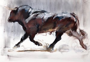 Taureau Courant - Mark Adlington