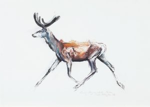 Cerf courant en velours, Polsen, 2006