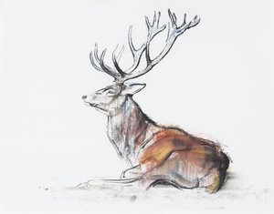 Cerf assis, 2006