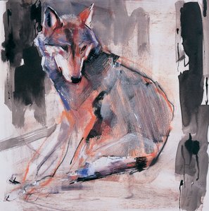 Loup assis - Mark Adlington