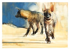 Hyènes rayées, 2010 - Mark Adlington