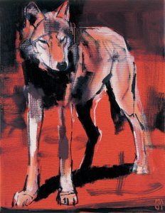 Loup d
