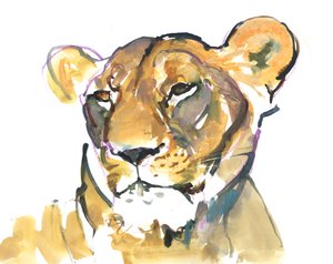 La lionne - Mark Adlington