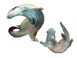 Titre inconnu - Mark Adlington