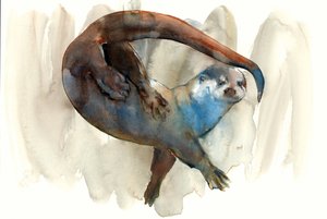 Titre inconnu - Mark Adlington