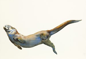 Velours, 2014 - Mark Adlington