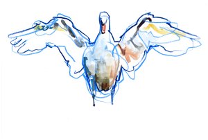 Ailes déployées, 2022 - Mark Adlington