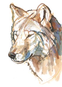 Loup