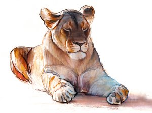 Lionne yogi, 2019 - Mark Adlington