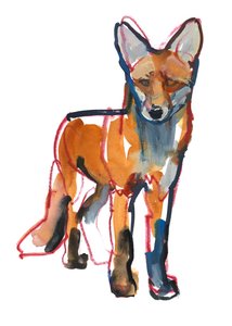 Jeune renard, 2021