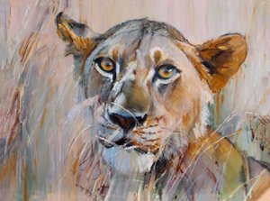 Jeune lion dans l