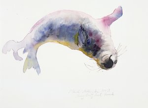 Jeune phoque gris, Gweek, 2003 - Mark Adlington