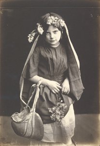 Fleurs sauvages
