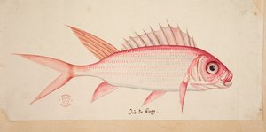 Un poisson