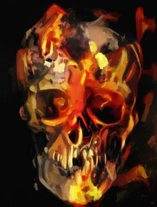 feu de crâne - Mark Gordon
