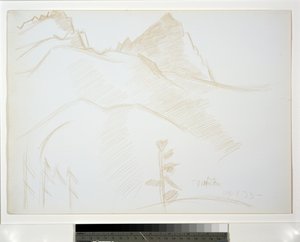 Paysage de montagne avec pins