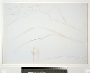 Paysage de montagne avec deux pins