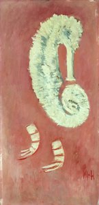 Hippocampe et crevette