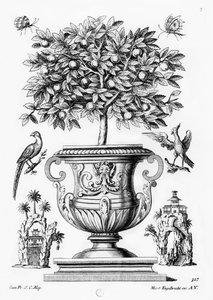 Orangers, vers 1735 - Martin Engelbrecht