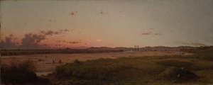  - Martin Johnson Heade