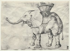 Un Éléphant avec Howdah - Martin Schongauer
