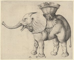 Éléphant - Martin Schongauer