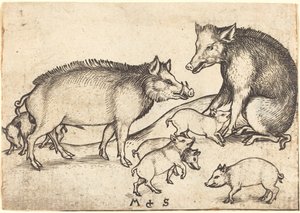 Famille de cochons - Martin Schongauer