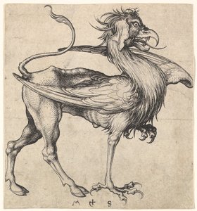 Griffon - Martin Schongauer