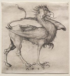 Le griffon - Martin Schongauer
