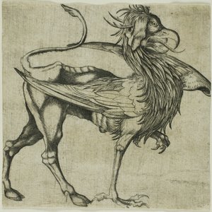 Le Griffon - Martin Schongauer