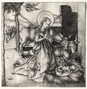 La vie du Christ : La Nativité