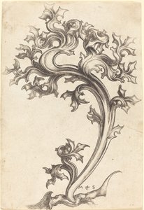 Ornement de Chardon - Martin Schongauer