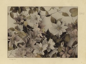 Un des Festons und Decorative Gruppen de Martin Gerlach