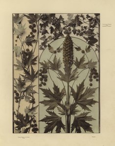 Un des Festons und Decorative Gruppen de Martin Gerlach - Martin senior Gerlach