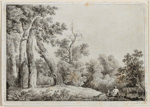 Paysage
