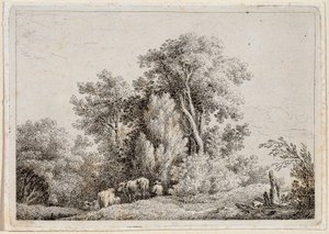 Paysage