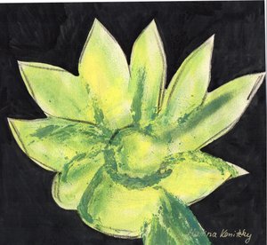 Cactus - Martina Konitzky