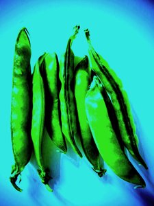 Cosses de pois - Martina Konitzky