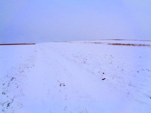 Champs en hiver - Martina Konitzky