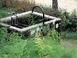 Dans le jardin