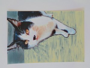 Chat - Martina Konitzky